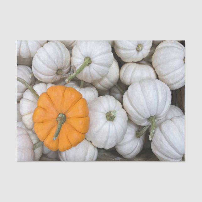 Ghost Pumpkins with a sneaky orange one  Tissue Paper (Front)