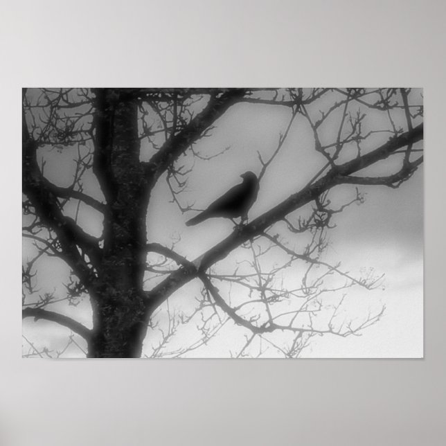 Ghost Raven Poster (Front)