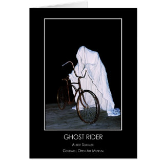 Ghost Rider R513 Cards