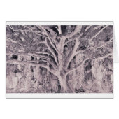 Ghost Tree (Front Horizontal)