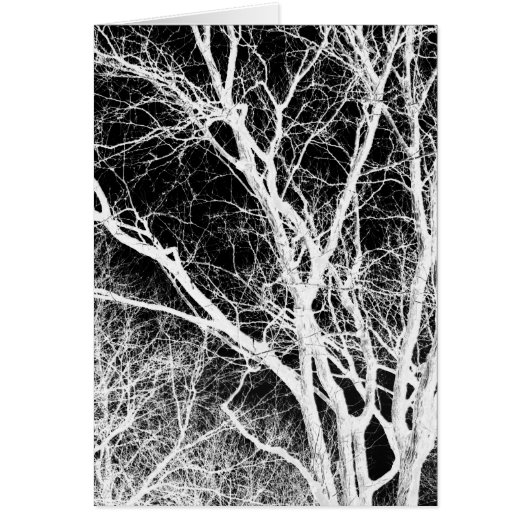 ghost tree cards (Front)