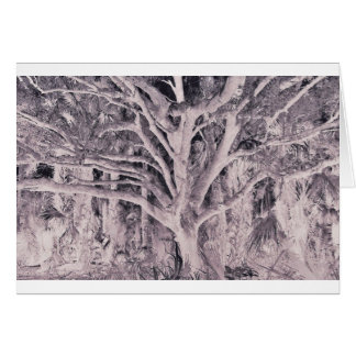 Ghost Tree Cards