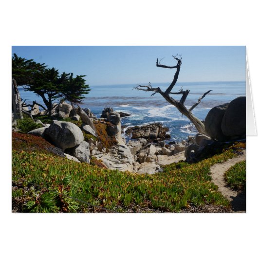 Ghost Tree – Scenic 17 Mile Drive #2 Card (Front Horizontal)
