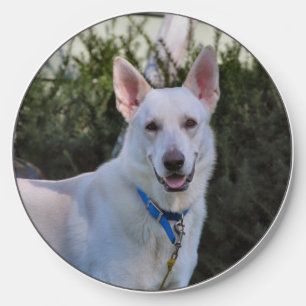 Ghost Wireless Charger