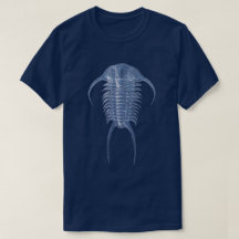 Ghostly Blue Paraceraurus Trilobite