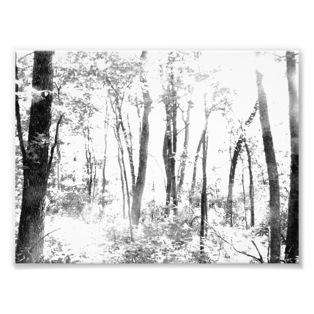 Ghostly Forest Photo Print (Front)