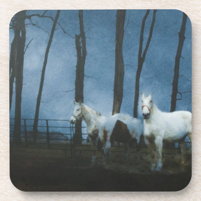 Ghostly Horses at Midnight Coaster (Front)