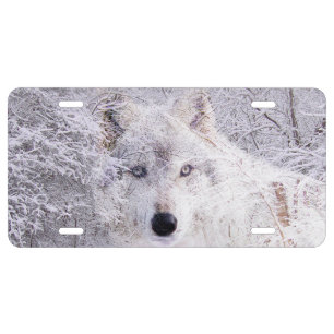 Ghostly wolf in the snow license plate