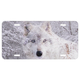Ghostly wolf in the snow license plate