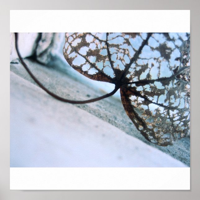 ghosts of spring poster (Front)