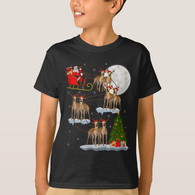 Ghound Dog Santa Sleigh Flying Funny Magical Chris T-Shirt (Front)