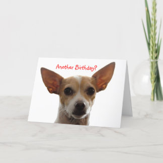 Gi, Another Birthday? Card