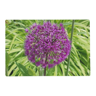 Giant Allium Placemat 2-Sided
