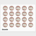 Giant Angora Rabbits Classic Round Sticker | Zazzle