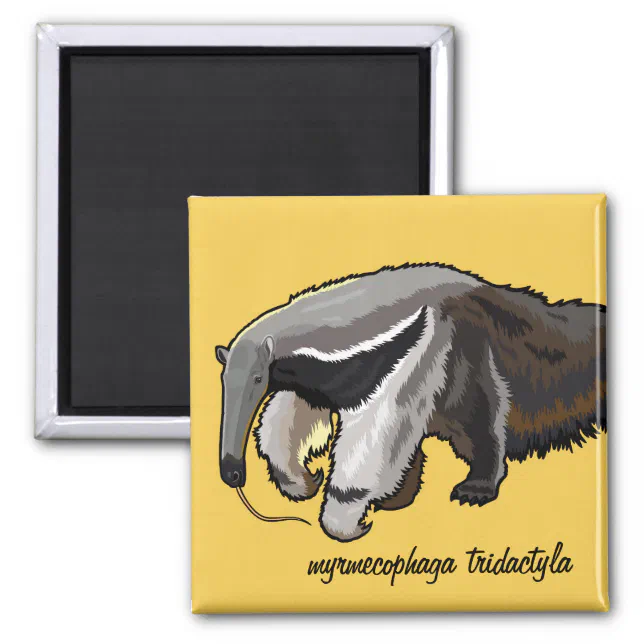 giant anteater magnet (Front)