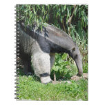 Giant Anteater Notebook
