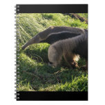 Giant Anteater Notebook