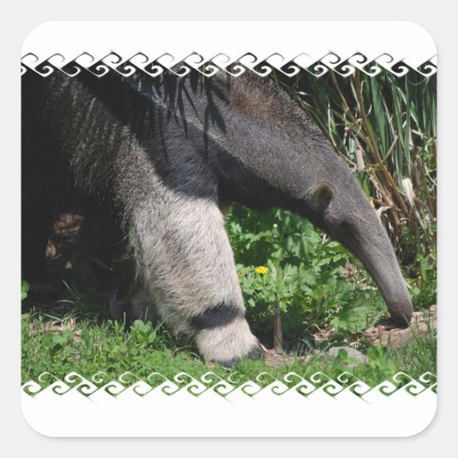 Giant Anteater Photo Sticker (Front)