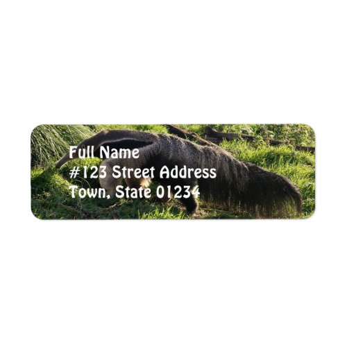 Giant Anteater Return Address Label
