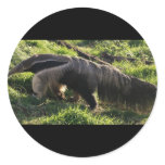 Giant Anteater Stickers