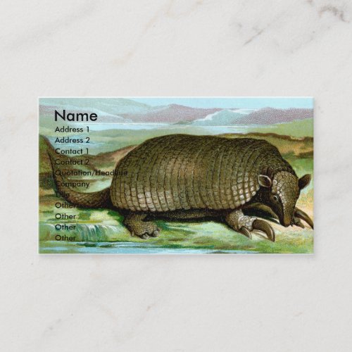 Giant Armadillo Business Card