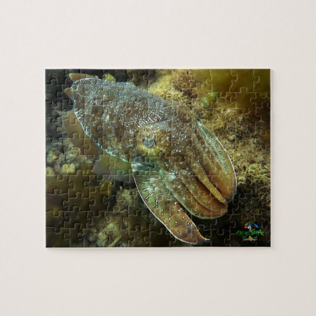 Giant Australian Cuttlefish of Whyalla Jigsaw Puzz Puzzle (Horizontal)