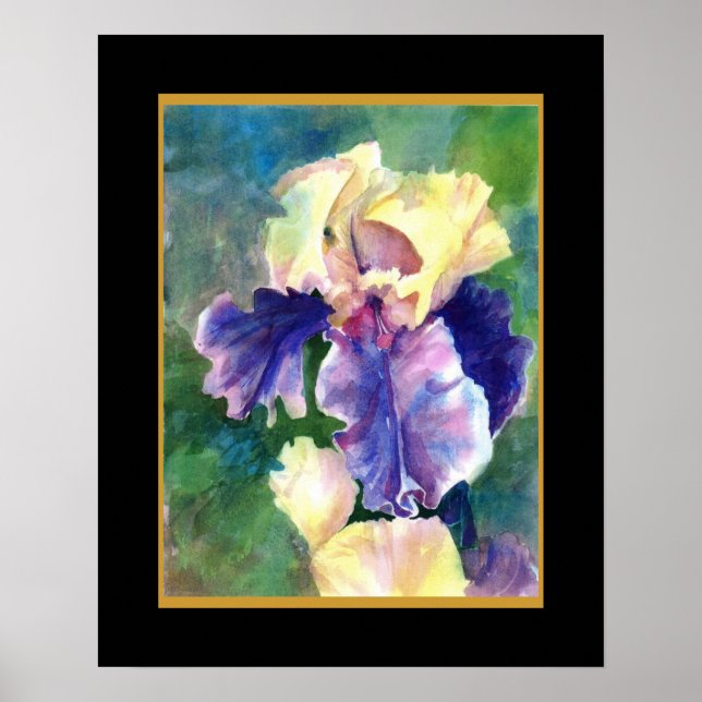 Giant Bearded Iris Poster (Front)