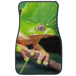 Giant Bicolor Monkey Treefrog, Phyllomedusa Car Floor Mat