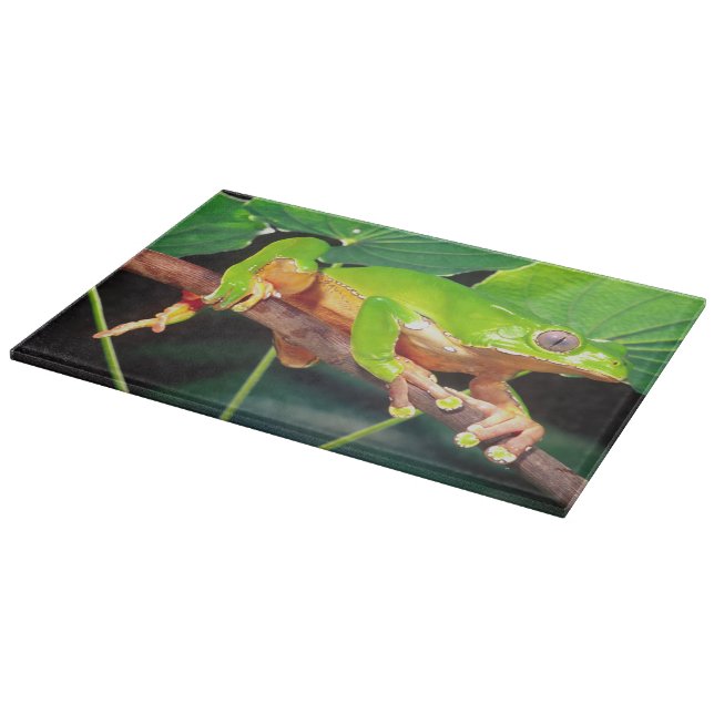 Giant Bicolor Monkey Treefrog, Phyllomedusa Cutting Board (Corner)