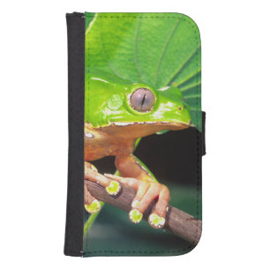 Giant Bicolor Monkey Treefrog, Phyllomedusa Wallet Phone Case For Samsung Galaxy S4