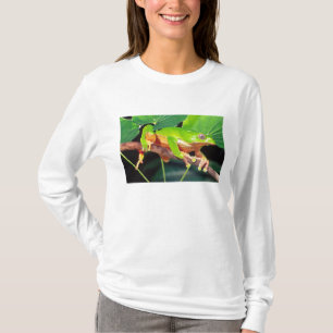 Giant Bicolor Monkey Treefrog, Phyllomedusa T-Shirt