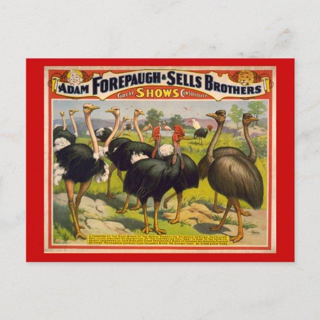 Giant Birds Circus Poster - Forepaugh and Sells Postcard (Front)