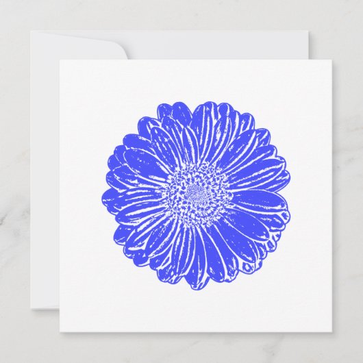 Giant Blue Gerbera Daisy (Front)