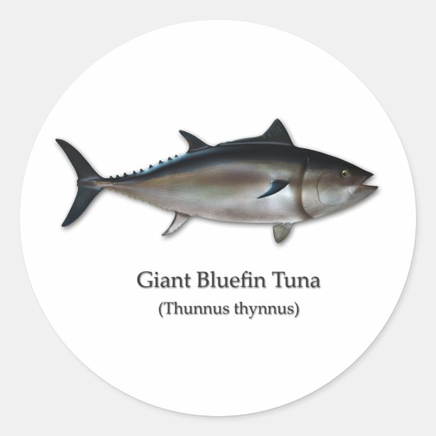 Tuna Stickers 100 Satisfaction Guaranteed Zazzle