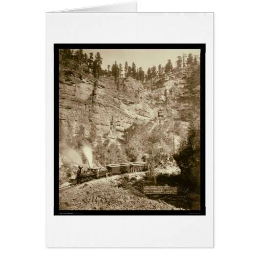 Giant Bluff Train Black Hills SD 1890 Cards (Front)