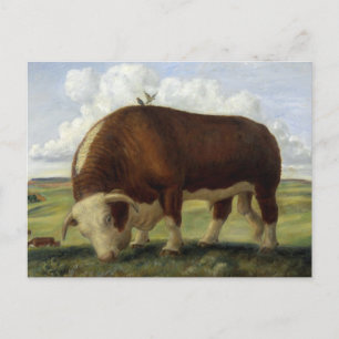 Giant Bull Postcard