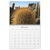giant cactus 2024 calendar (Mar 2025)