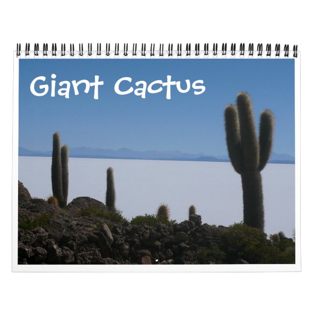 giant cactus 2024 calendar (Cover)