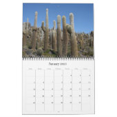 giant cactus 2024 calendar (Jan 2025)