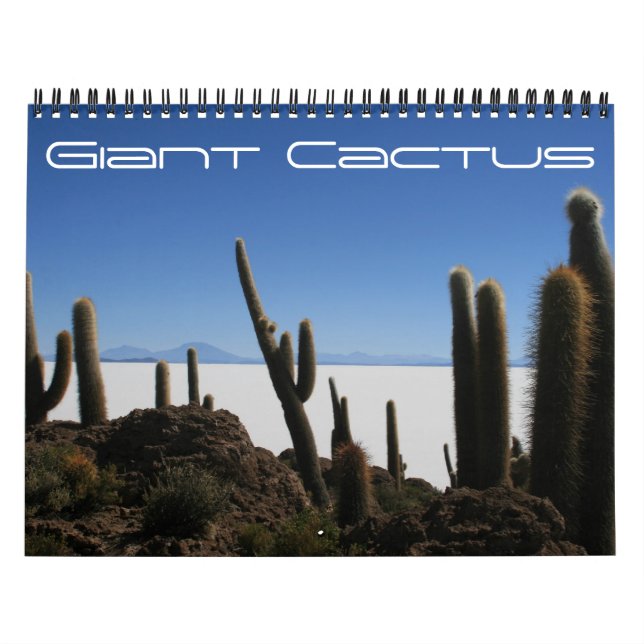 giant cactus 2027 calendar (Cover)