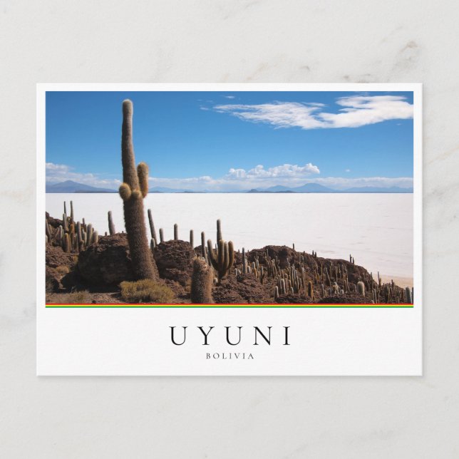 Giant cactus at the Salar de Uyuni in Bolivia Postcard (Front)