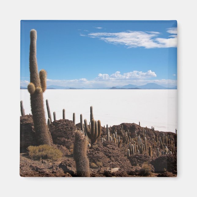 Giant cactus at the Salar de Uyuni magnet (Front)