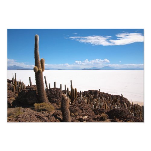 Giant cactus at the Salar de Uyuni photo print