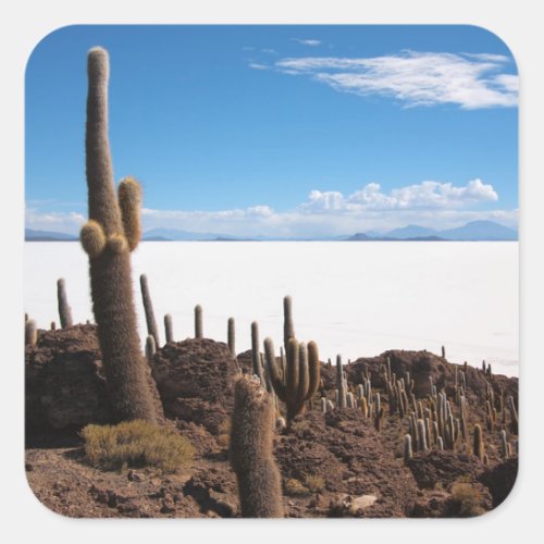 Giant cactus at the Salar de Uyuni photo sticker