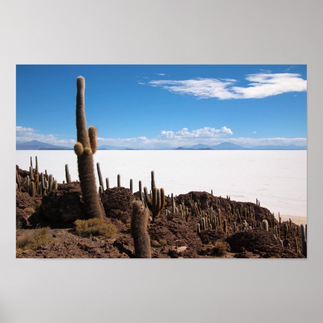 Giant cactus at the Salar de Uyuni poster print (Front)