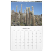 giant cactus bolivia calendar (Jan 2025)