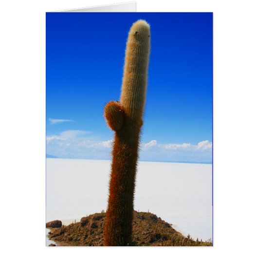 giant cactus cards (Front)