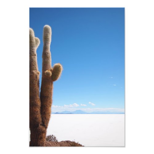 Giant cactus on the Salar de Uyuni photo print