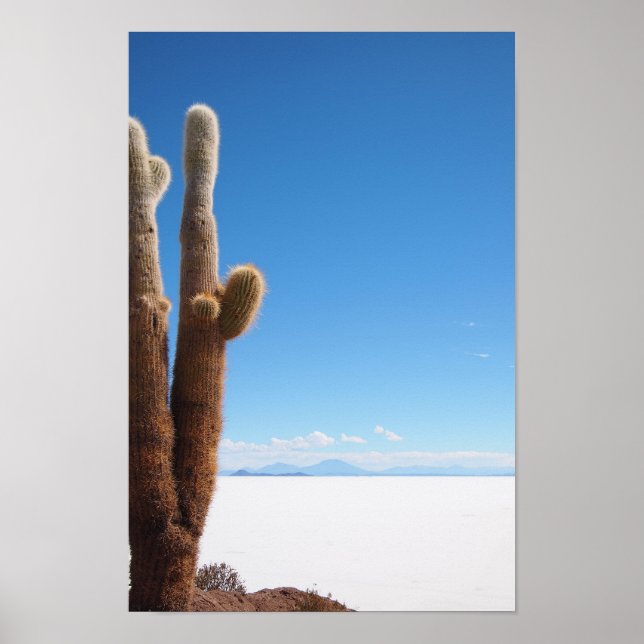 Giant cactus on the Salar de Uyuni poster (Front)