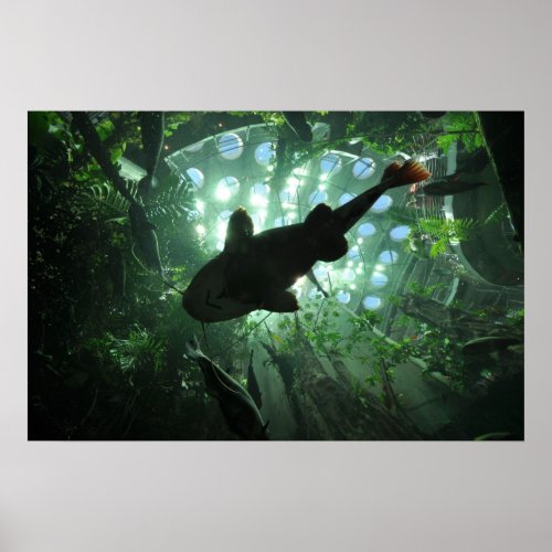 Giant Catfish Poster
